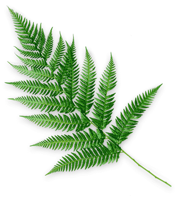 Massatges a Barcelona - Plaça Catalunya